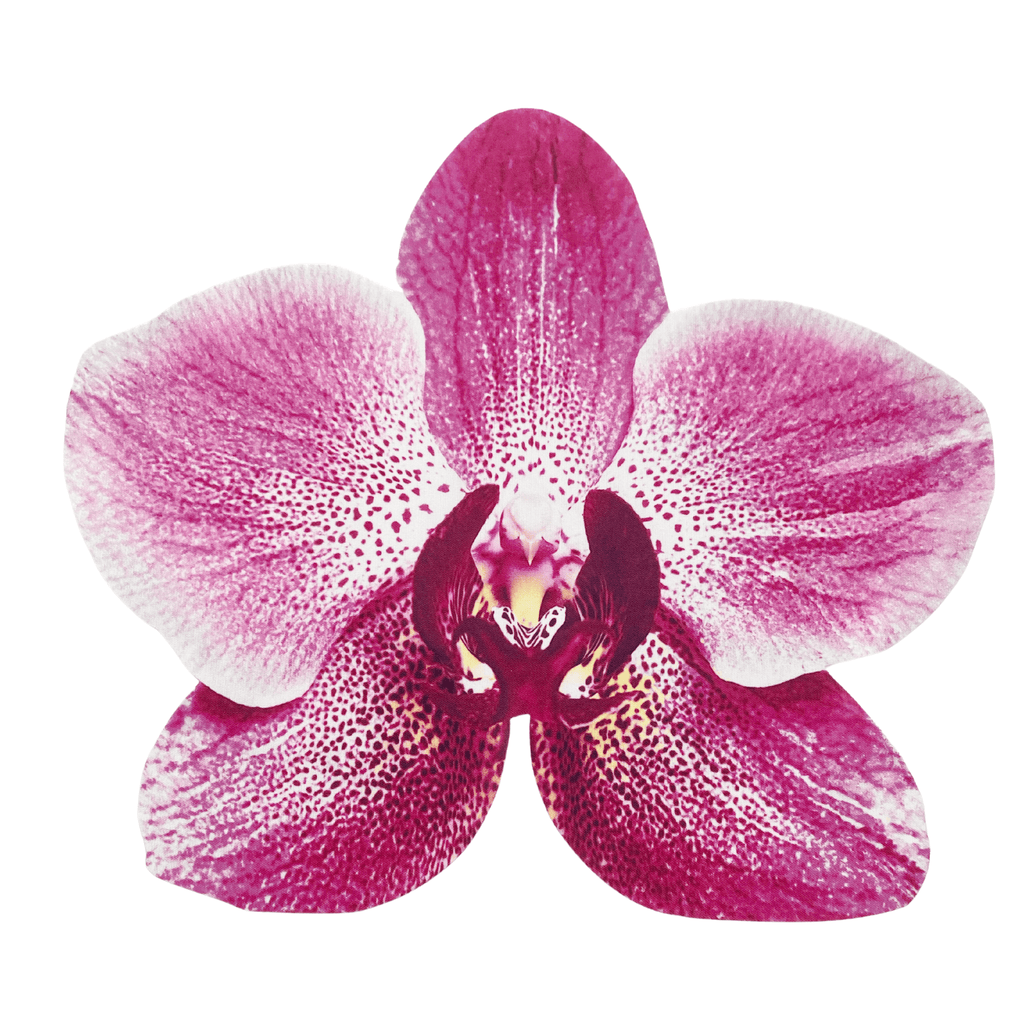 Premiun Orchid Placemats (set of 2)