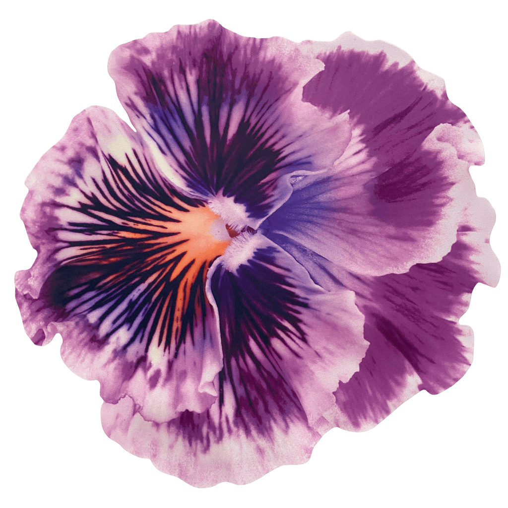 Set of 2 Purple Flower Placemats | The Shop'n Glow