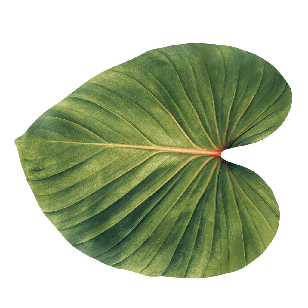 Set of 2 Green  Leaf Placemats | The Shop'n Glow