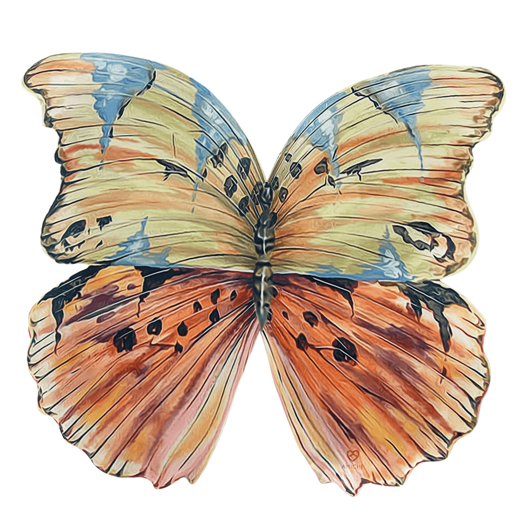 Set of 2 Butterfly Placemats | The Shop'n Glow